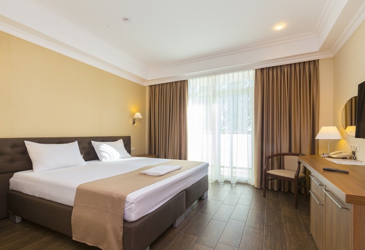 Standard Double room with balcony and with sea view