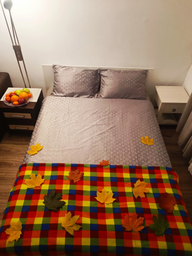 Фотография номера квартиры Квартира Большая у Крокус Экспо между метро Мякинино и Пенягино