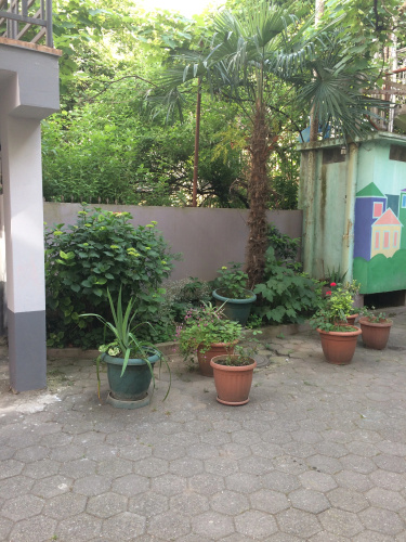 A Cosy House Hostel