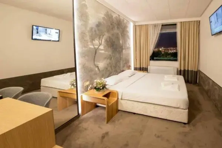 Standard Double room with balcony and with view