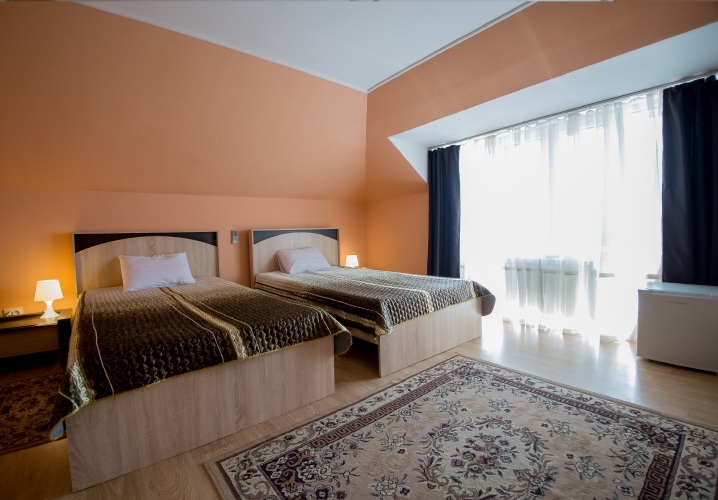 Фотография номера гостиницы Золотой лев