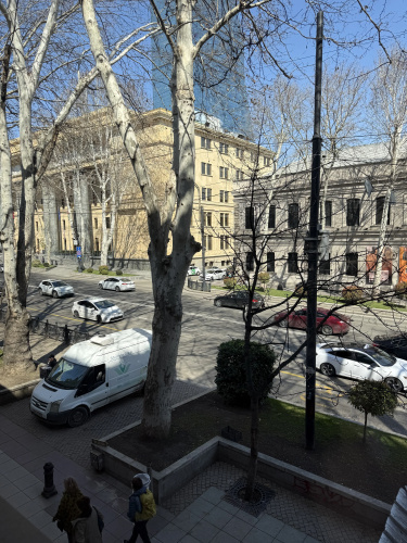 Prospekt Rustaveli Tsentr Flat