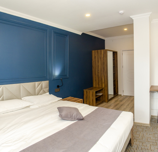 Deluxe Double room with balcony and with view