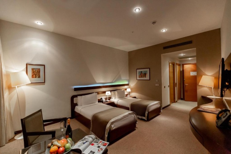 Superior Twin room with view