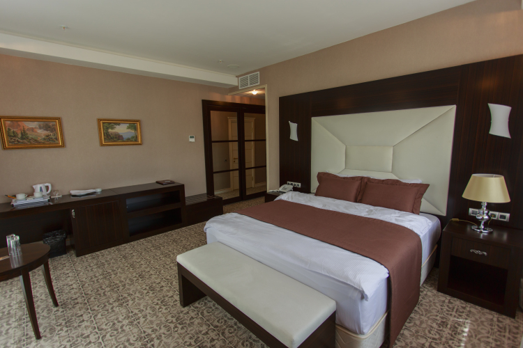 Фотография номера гостиницы Бута