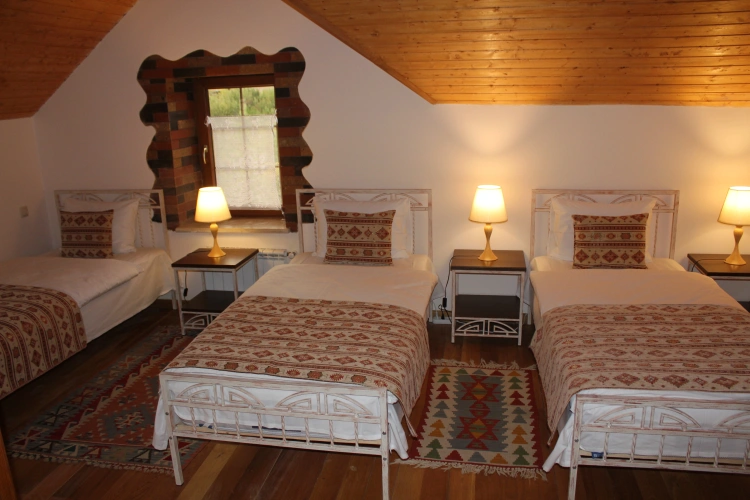 Standard Triple room with view