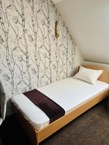 Фотография номера гостиницы Сова на Преображенской