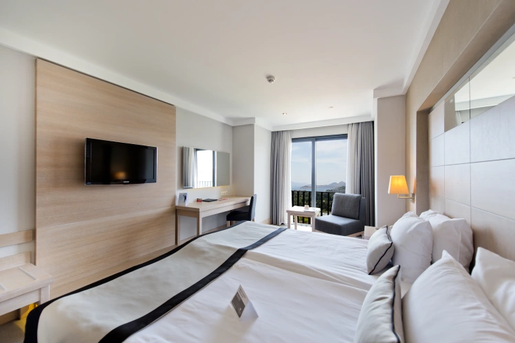 Standard Double room with sea view