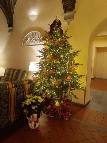 Botticelli photo 27