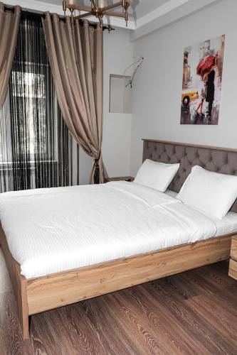 Deluxe Park Z Hotel