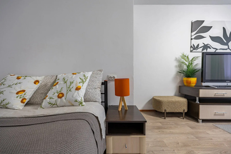 Фотография номера квартиры Квартира в Жюль Верне Квартиры у Петровны