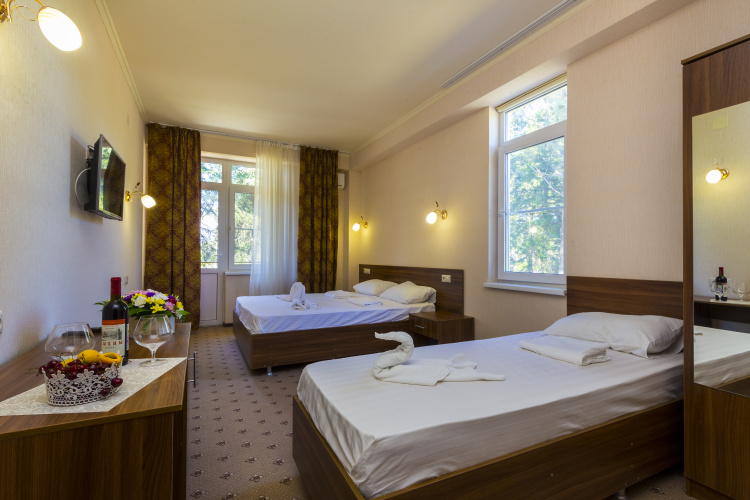 Standard Triple room with view