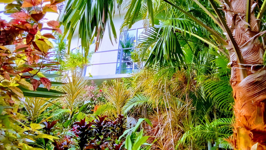 Modara Villa