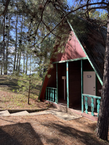 Фотография номера гостиницы Лунная Поляна