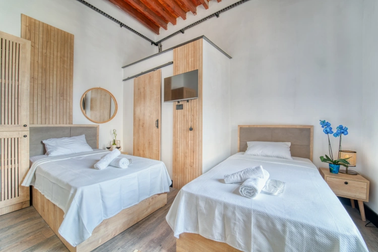 Deluxe Twin room
