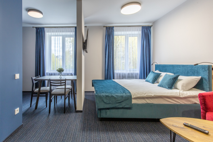 1-room Double Studio with city view