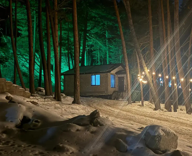 Фотография номера Коттеджа Шале Роскошное шале в сосновом бору