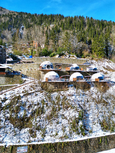 Kaledome orman evleri Glamping