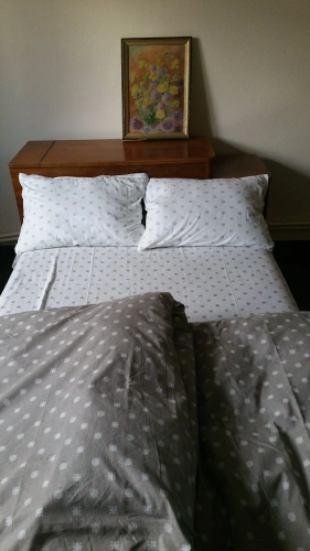 Standard Double room with view