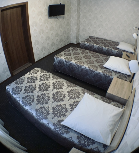 Фотография номера гостиницы Элион