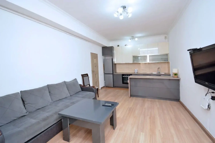 1 Bedroom Double Apartment with balcony and with city view