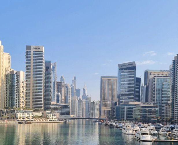 Junior Suite — Single Bed