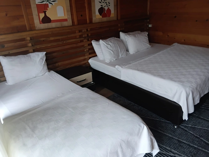 Economy room