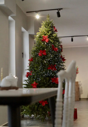 Hotel Max Villa Bakuriani