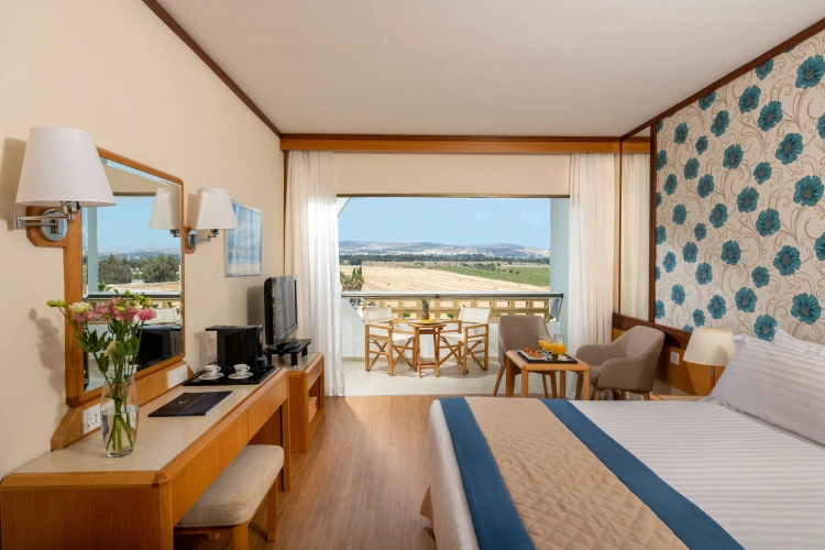 Superior Double room with balcony and with city view