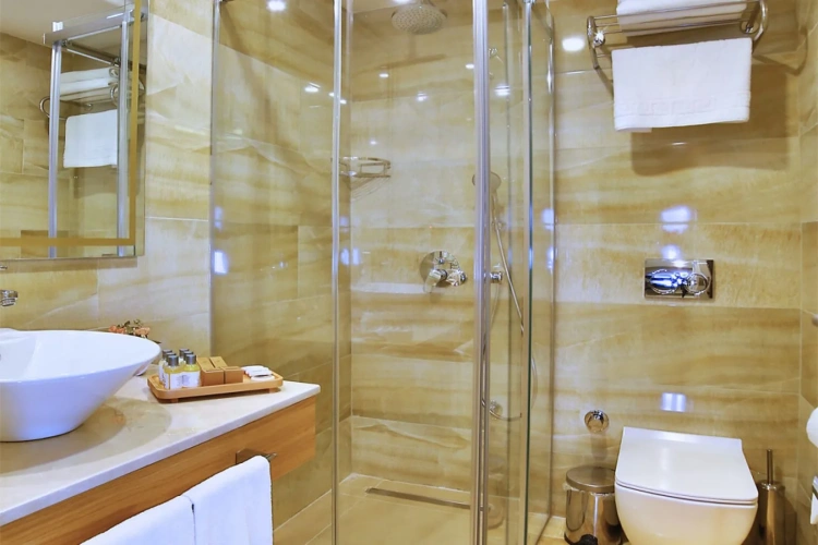 Deluxe Single room