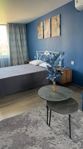 1 Bedroom Apartment with balcony