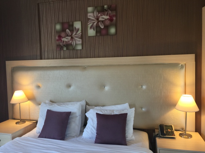 Standard Twin room with balcony and with view