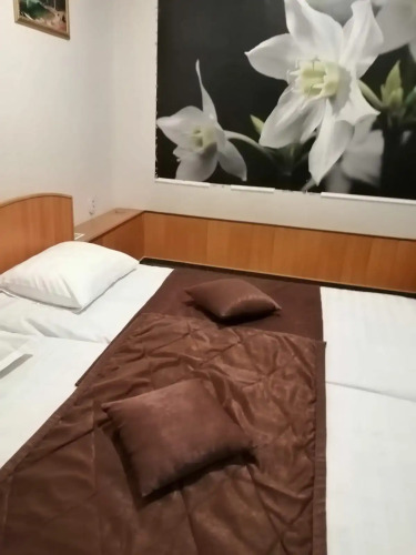 Фотография номера гостиницы Премьер