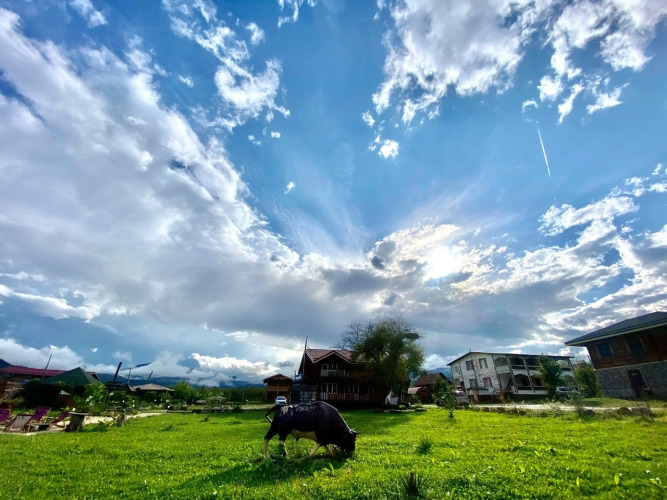 Фотография отеля