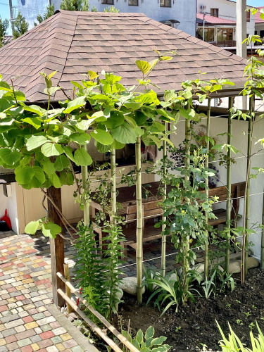 Gera Guest house