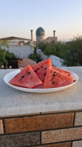 Sardor Guest House
