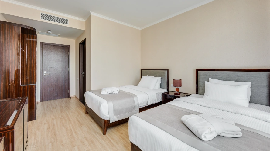 Standard Twin room with balcony and with view