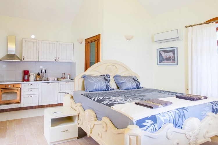 Double Apartment
