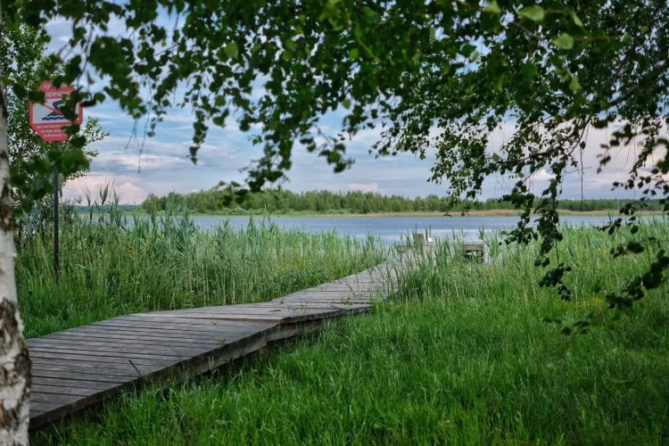 Фотография номера гостевого дома Дикий гусь