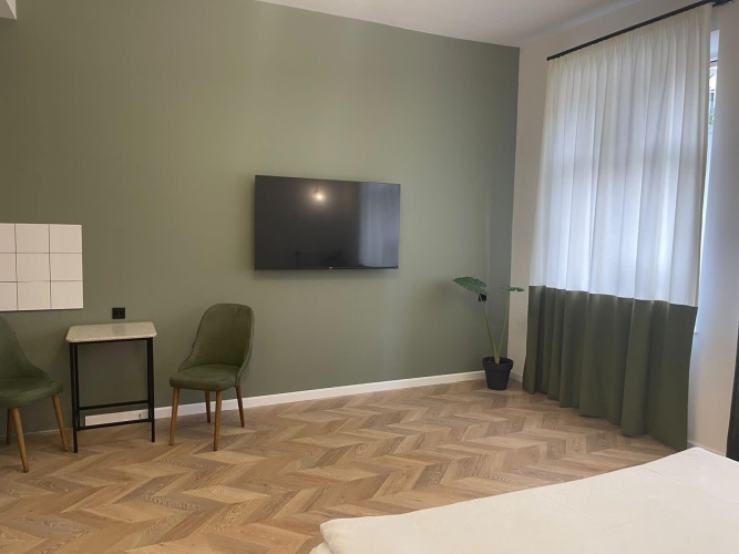 1 Bedroom Superior Double Apartment with view