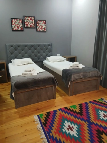Standard Twin room with view