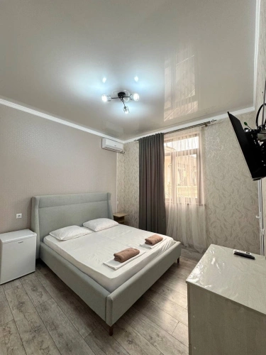 Standard Double room with balcony and with view