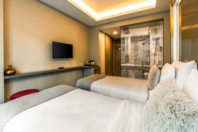 Superior Double room with balcony and with city view