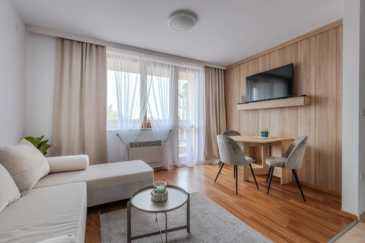 1 Bedroom Superior Apartment with balcony