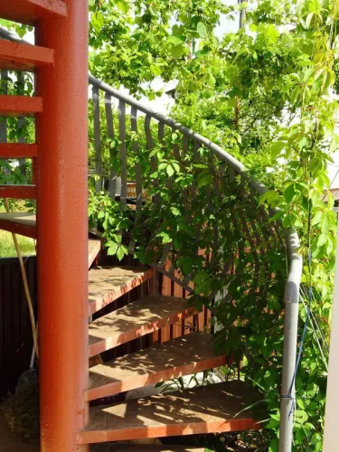 Dautiya Guest House