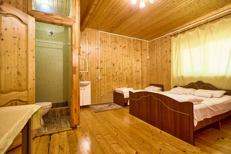 Standard Triple room with mountain view