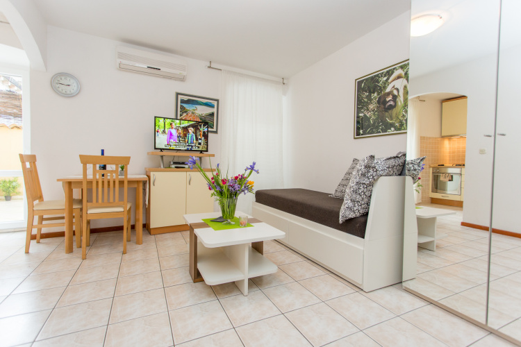Studio with balcony and with view
