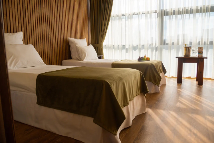 Двухместный номер Стандарт Комфорт 301 с видом на бассейн 2 отдельные кровати