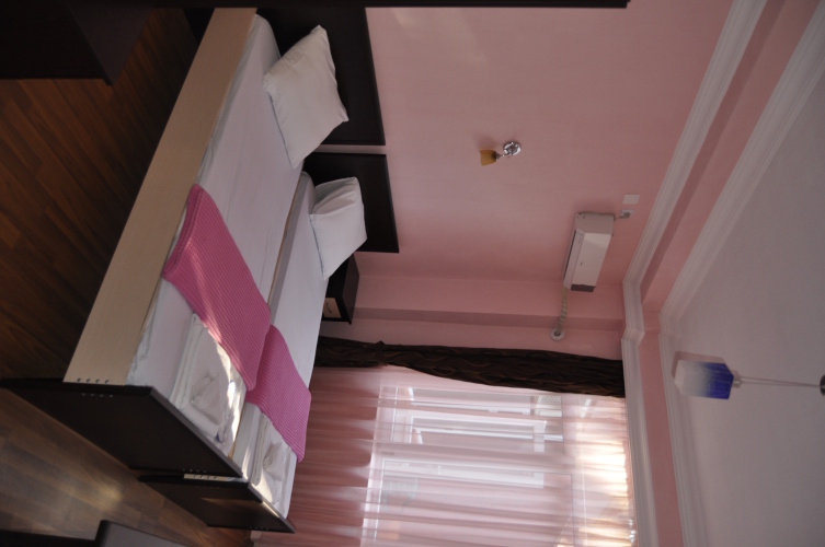 Standard Twin room with balcony and with view