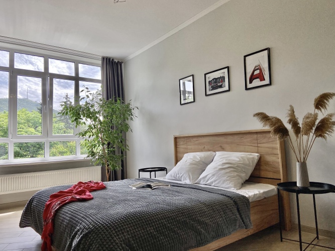 Фотография номера квартиры Апартаменты Однокомнатная квартира с видом на Машук